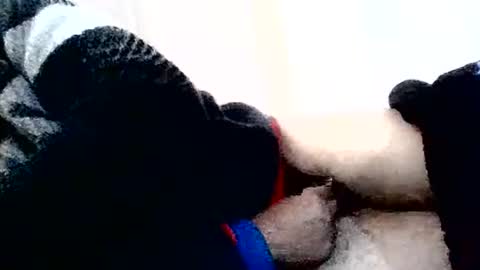 Snapshot of torresurionasantos chatting on 02-02-26, 05:22 torresurionasantos online show from 02-02-26, 05:22