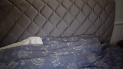 torrino12 online show from 01-06-25, 03:20