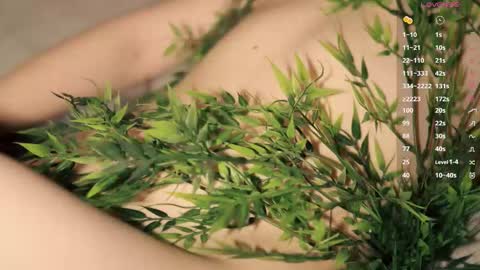 Toshi online show from 03-12-26, 01:06