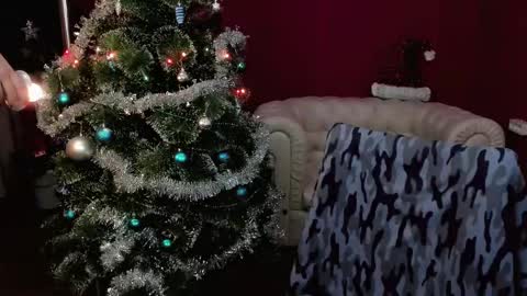   online show from 12-28-24, 08:05