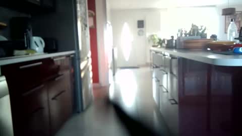 toutim6163 online show from 09-30-25, 07:02