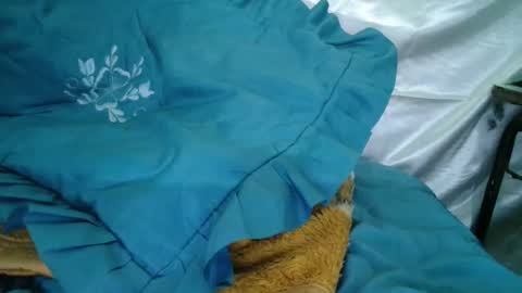 Snapshot of transexdotada chatting on 10-23-25, 05:12 transexdotada online show from 10-23-25, 05:12