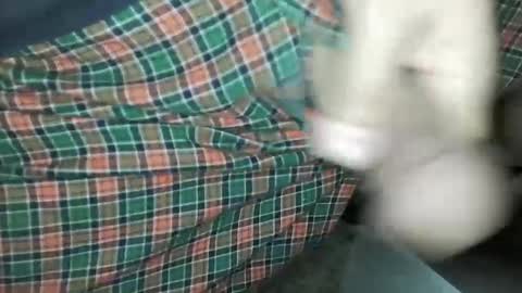 Snapshot of travelingmantla chatting on 01-14-25, 07:06 Daddy Edgalot online show from 01-14-25, 07:06