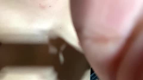 Snapshot of trebz_01 chatting on 04-14-26, 12:33 trebz_01 online show from 04-14-26, 12:33