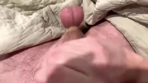 tree553 online show from 01-13-25, 01:56