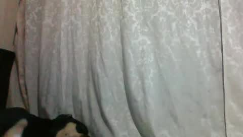 triana_bell online show from 01-14-25, 02:40