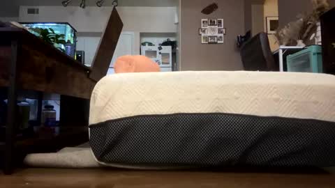 trickydick6 online show from 02-23-26, 07:11