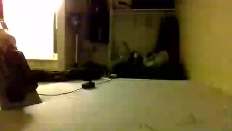 trickydick6 online show from 06-25-26, 08:19