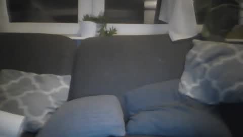 triglav2125 online show from 04-10-26, 09:52