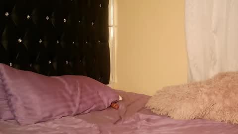 trinatrina94 online show from 12-19-25, 02:40
