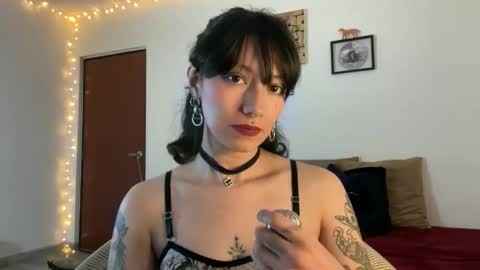 Snapshot of trinitysecrets chatting on 03-03-26, 07:53 trinitysecrets online show from 03-03-26, 07:53