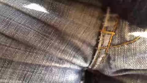 trobelle online show from 11-18-25, 11:36