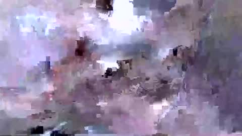 Snapshot of troy1965 chatting on 04-12-26, 05:45 troy1965 online show from 04-12-26, 05:45