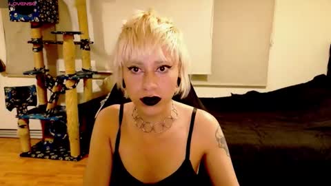 Snapshot of tryp666 chatting on 10-13-25, 04:12 Cait online show from 10-13-25, 04:12