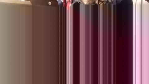 trypodman online show from 12-11-24, 04:31