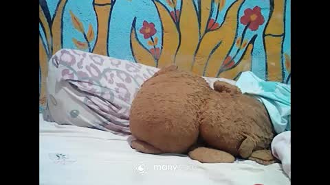 Snapshot of ts_cuumlover chatting on 12-02-24, 01:14 ts_cuumlover online show from 12-02-24, 01:14