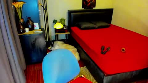 Snapshot of tssophisticatedx chatting on 05-13-26, 06:11 Kylee- will make your day online show from 05-13-26, 06:11