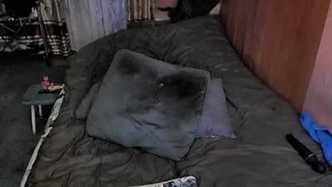 Lana online show from 03-06-25, 10:30