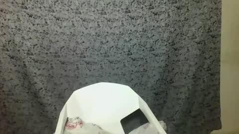 twerker_lyly online show from 10-07-25, 07:00