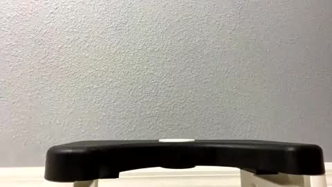 twetcock online show from 02-06-25, 12:00