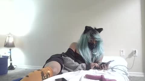 twinkyteddy online show from 10-06-25, 12:19