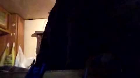 Tintilizing Excitement online show from 02-01-25, 12:05