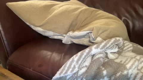 Snapshot of ty23333 chatting on 02-06-25, 10:37 ty223222 online show from 02-06-25, 10:37