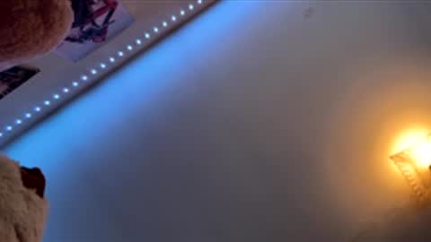 Snapshot of tyler1065 chatting on 02-17-26, 03:08 SexLover online show from 02-17-26, 03:08