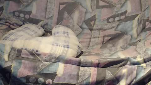 Helena and Tyson online show from 02-23-25, 04:17