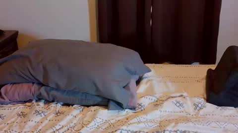 Blue Eyed Handsome Man online show from 02-01-26, 08:29