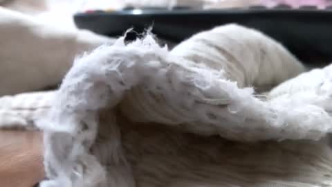 Gokuymilk online show from 06-19-26, 07:34