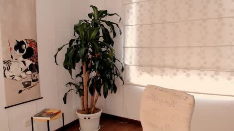 Martina online show from 05-11-26, 04:04
