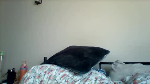 Snapshot of uncircumcise30 chatting on 03-19-26, 12:53 uncircumcise30 online show from 03-19-26, 12:53