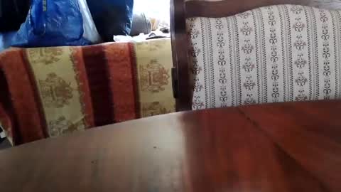 patricia online show from 07-03-26, 12:22