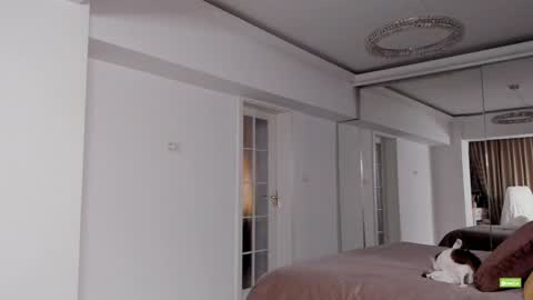 Snapshot of unforgettable_s chatting on 12-15-24, 05:42 Silvia online show from 12-15-24, 05:42