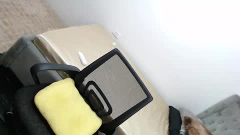 Amira online show from 02-26-25, 03:32