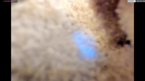 Big Daddy online show from 01-17-25, 11:18