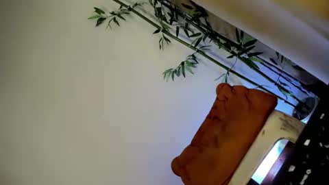 ursashafucker69 online show from 12-03-24, 10:17