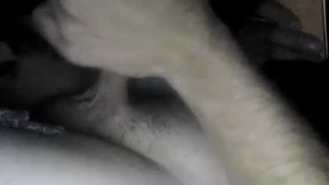 Slave bitch online show from 04-22-26, 10:06