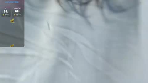 v1cky_ online show from 12-13-24, 09:52