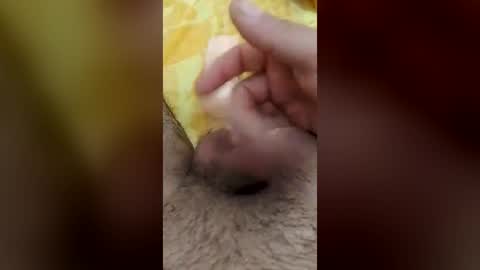 M Vaca online show from 07-17-26, 11:39