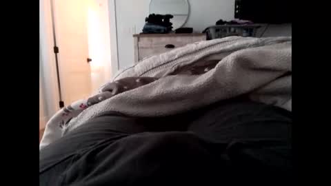 Snapshot of vader1788 chatting on 11-17-25, 03:29 vader1788 online show from 11-17-25, 03:29