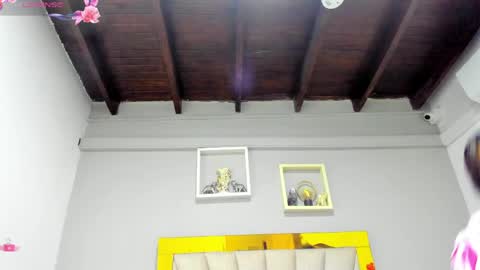 Snapshot of vahiolet_fuentes chatting on 04-29-26, 02:59 vahioleth online show from 04-29-26, 02:59