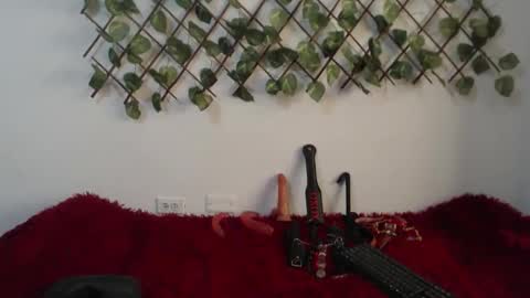 vaiolet online show from 11-10-25, 01:54