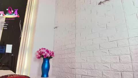 Snapshot of valery_wang chatting on 03-12-25, 06:11 Val online show from 03-12-25, 06:11