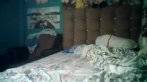 Snapshot of valesh20 chatting on 11-01-25, 04:03 Valesh19 online show from 11-01-25, 04:03