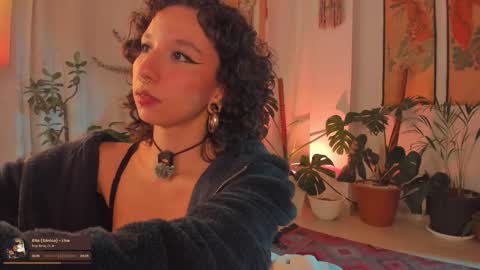      online show from 02-16-26, 11:34