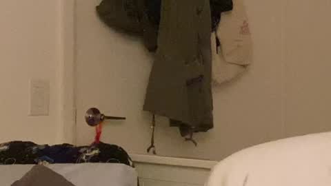 Snapshot of vanessapark chatting on 12-24-24, 10:33 Vanessa online show from 12-24-24, 10:33