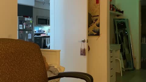 Snapshot of vanessapark chatting on 01-05-25, 03:34 Vanessa online show from 01-05-25, 03:34