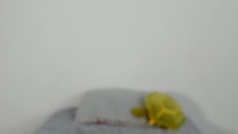Snapshot of vanilla_velvet chatting on 04-22-26, 02:29 Annabet online show from 04-22-26, 02:29